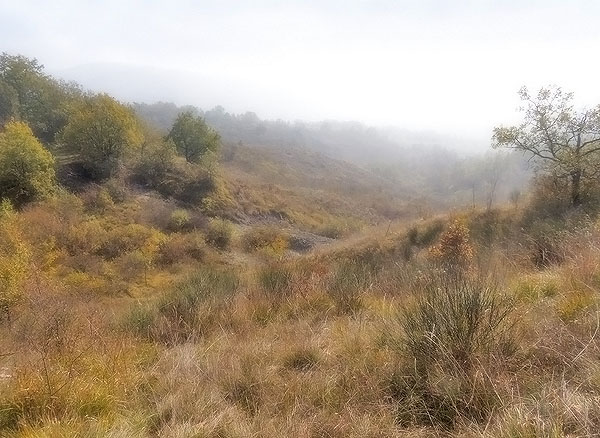 Oasi naturalistica del Carmine